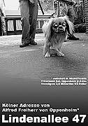 Lindenallee 47